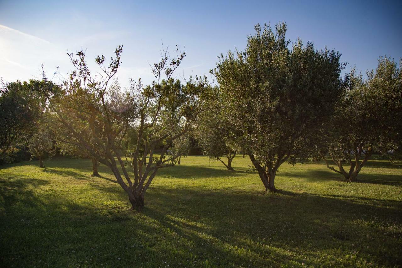 Il Casale Di Nonno Guido Bed and Breakfast Monterado Exteriör bild