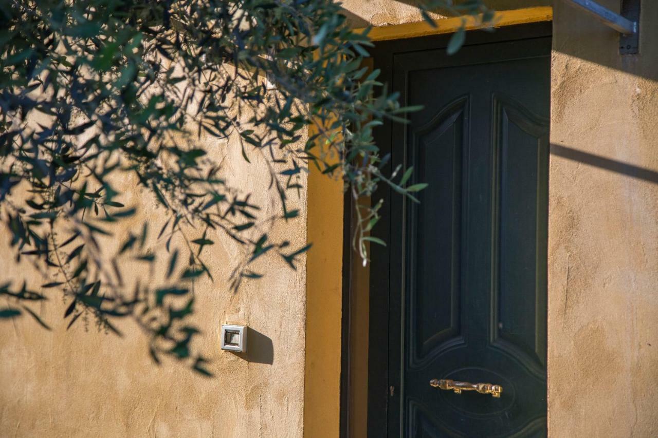 Il Casale Di Nonno Guido Bed and Breakfast Monterado Exteriör bild