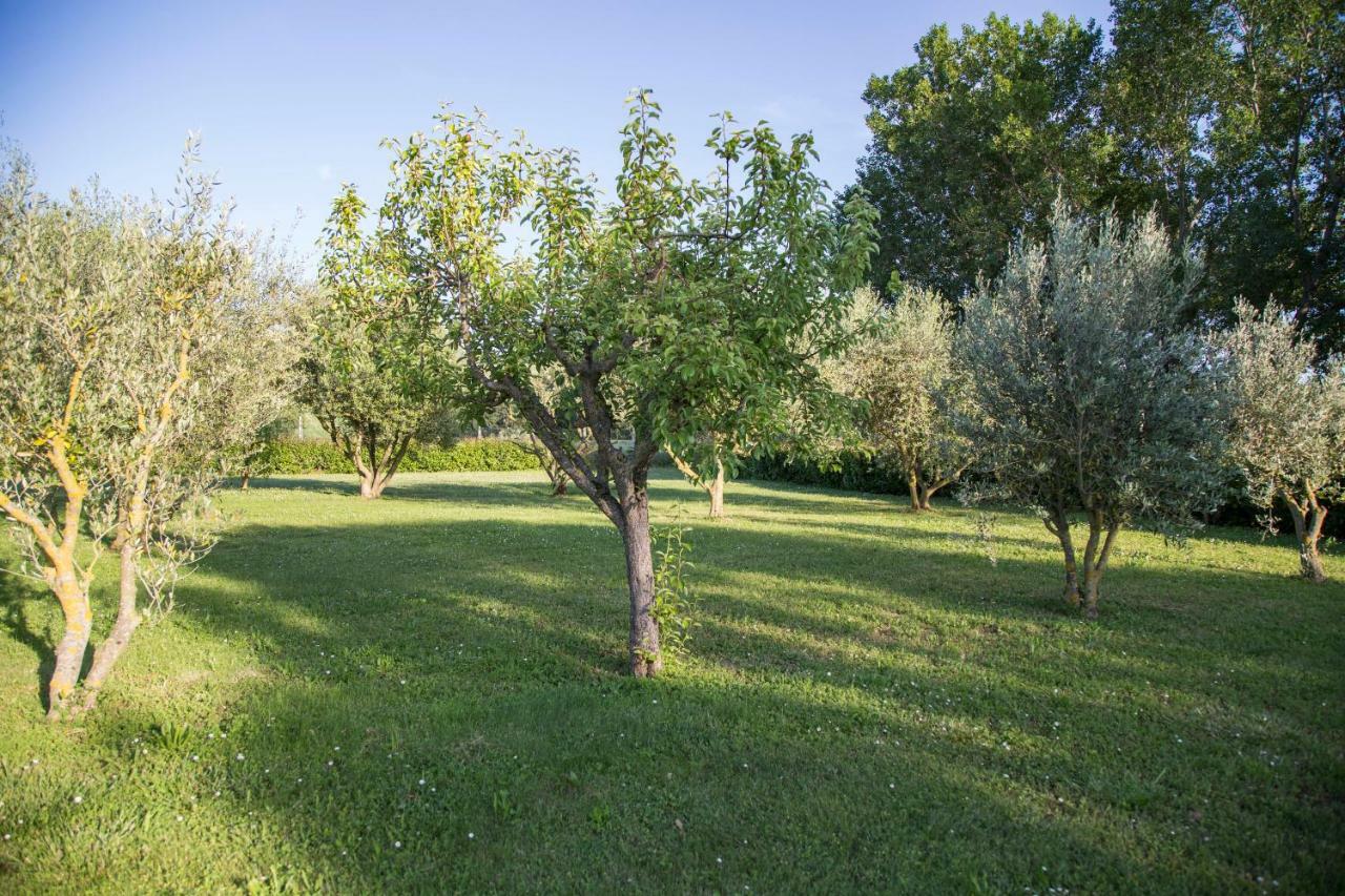 Il Casale Di Nonno Guido Bed and Breakfast Monterado Exteriör bild