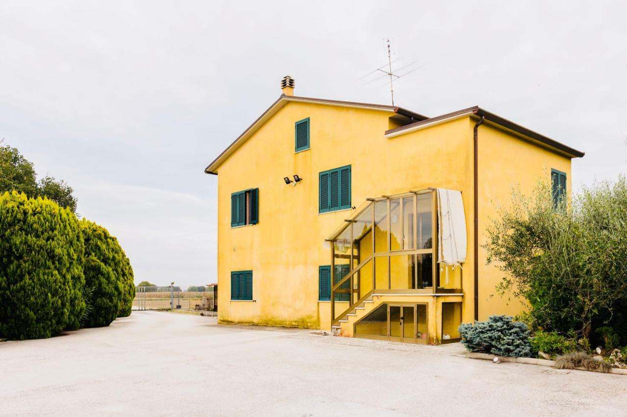 Il Casale Di Nonno Guido Bed and Breakfast Monterado Exteriör bild