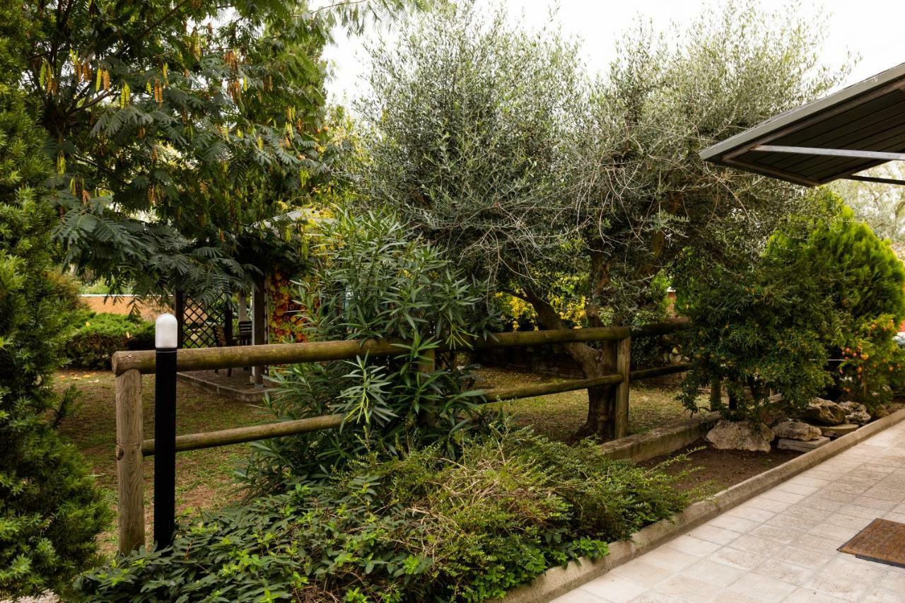 Il Casale Di Nonno Guido Bed and Breakfast Monterado Exteriör bild