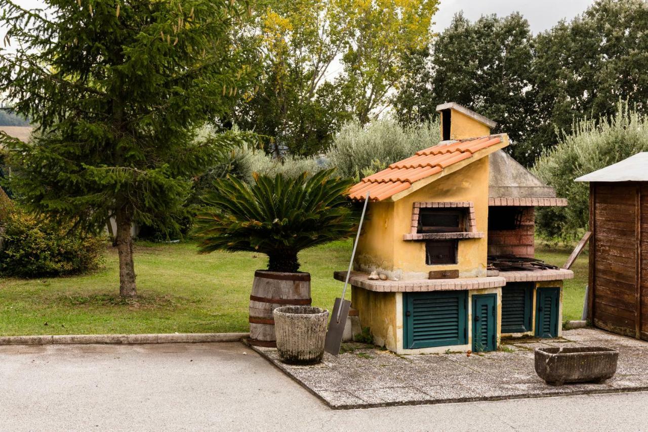 Il Casale Di Nonno Guido Bed and Breakfast Monterado Exteriör bild